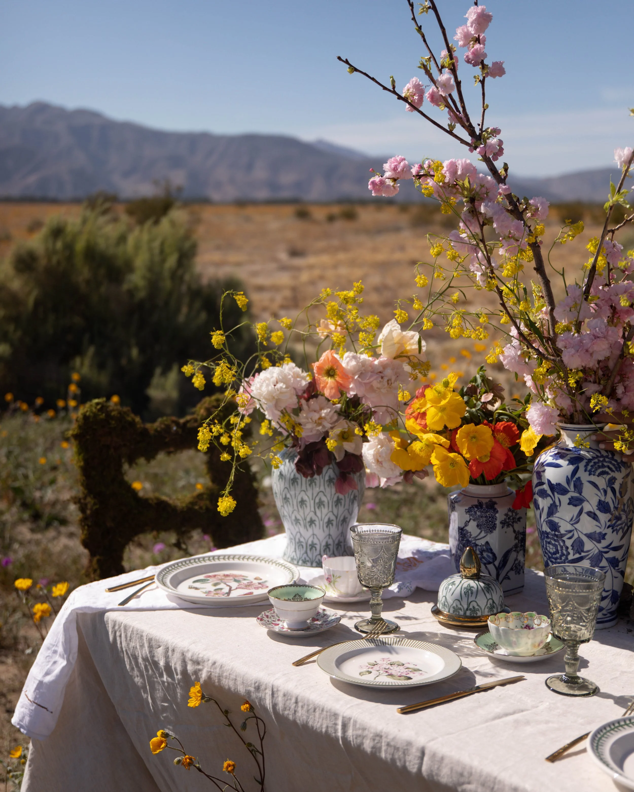 A table set for outdoor meal with floral china, glassware, cutlery, and large flower arrangements in vases, against a desert landscape with mountains in the background.