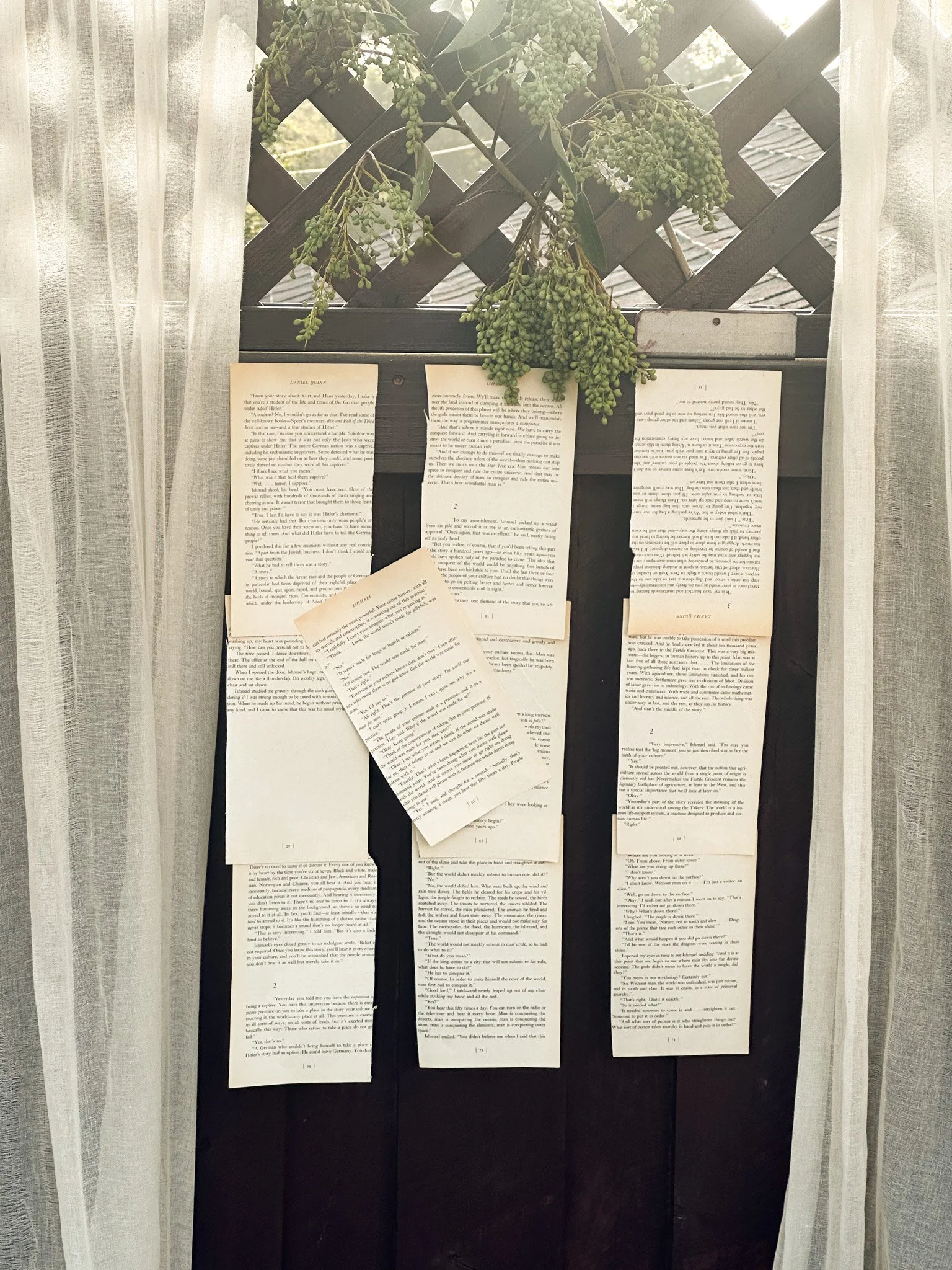 A decorative display featuring a small black chalkboard with several pages of typed text clipped to it, hanging outside on a black board. Above the chalkboard, there are green foliage and berries. The background includes white curtains on either side