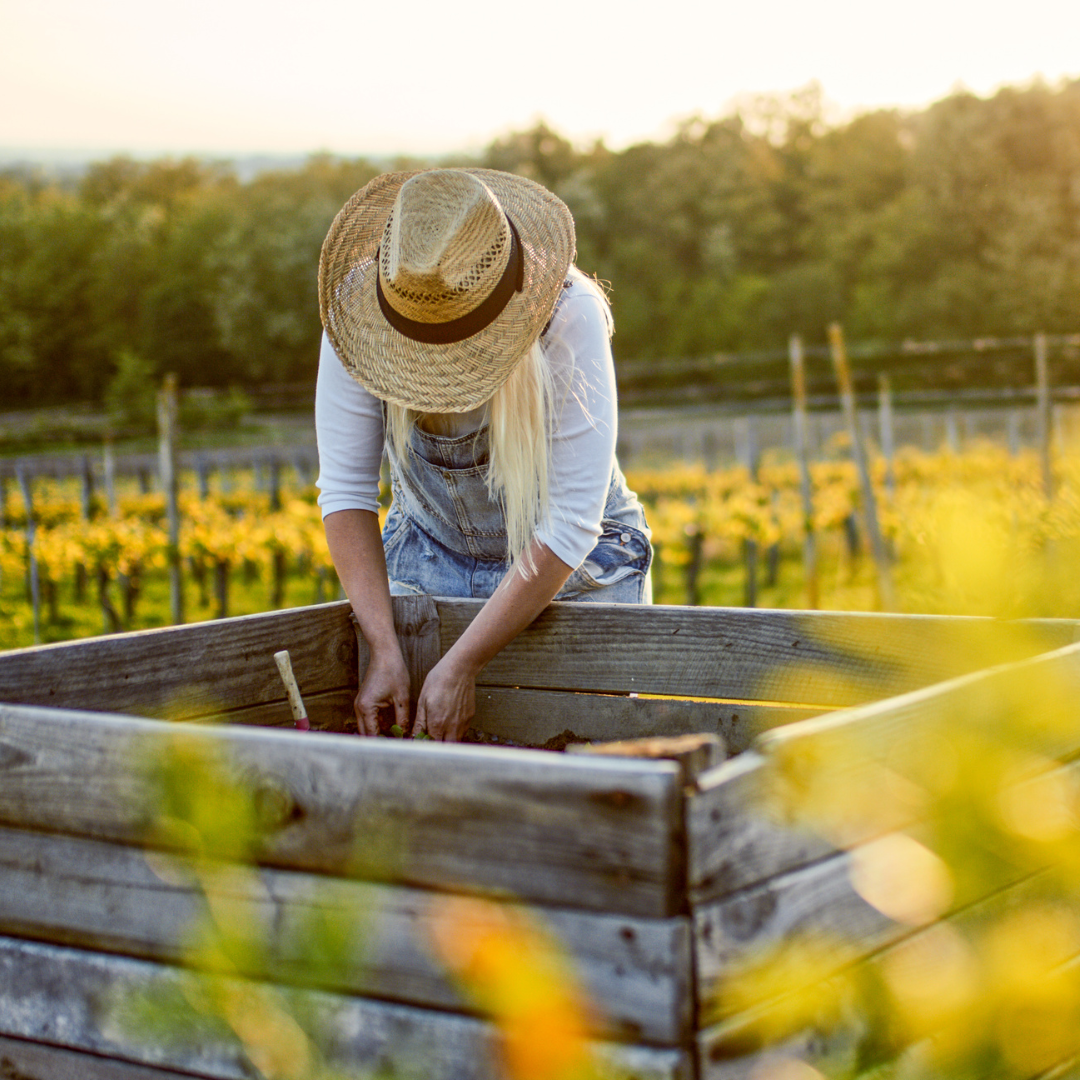 Summer Harvest in Virginia: delightful playground to explore and indulge in.