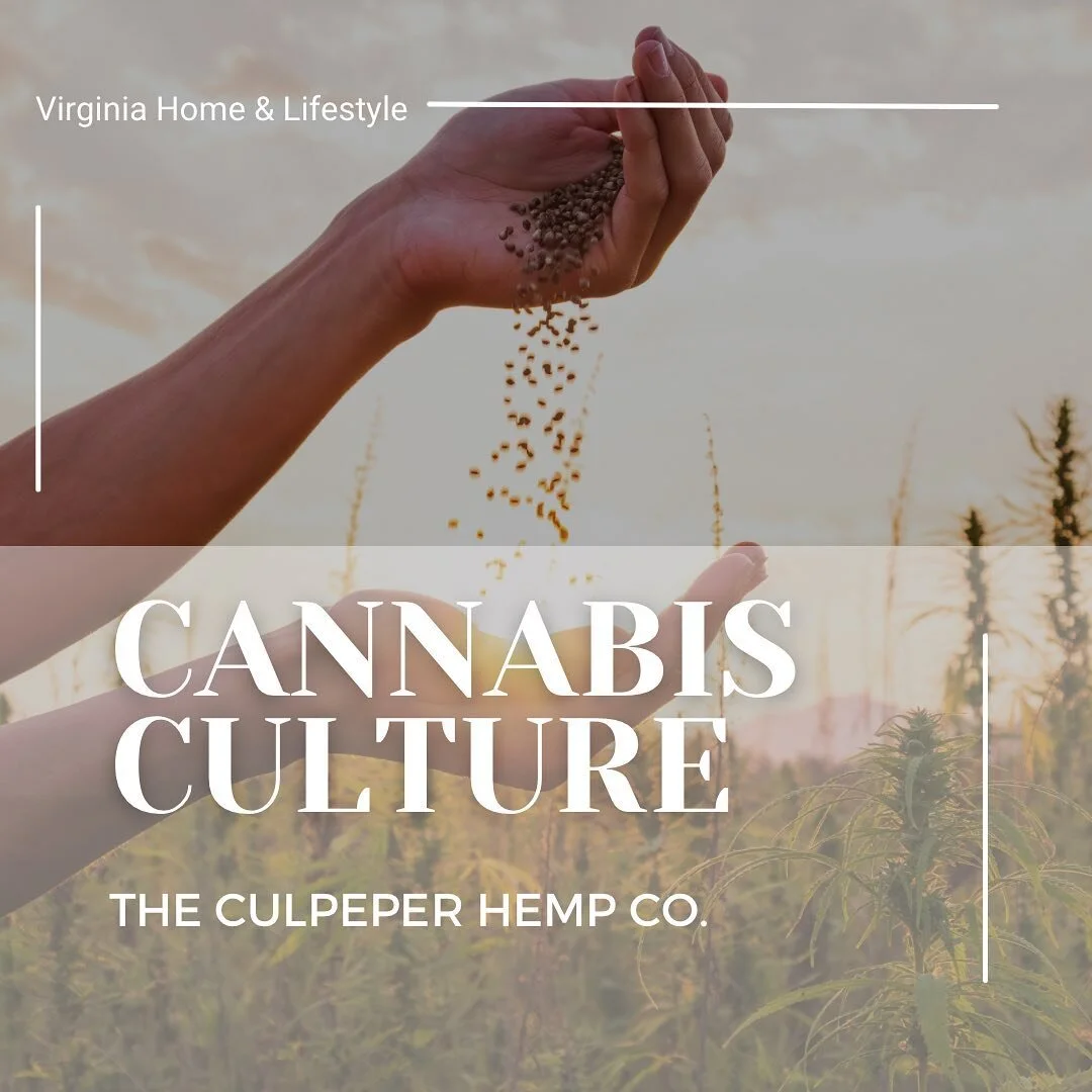 So excited to feature this amazing new hemp company @culpeperhemp on the blog today! 

Founder Maxwell Crawford is a cannabis entrepreneur, with years of experience in the hemp industry with a degree to back it up! He is bringing his passion to the p