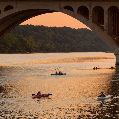 Embrace Nature's Beauty: Outdoor Adventures in Alexandria, VA