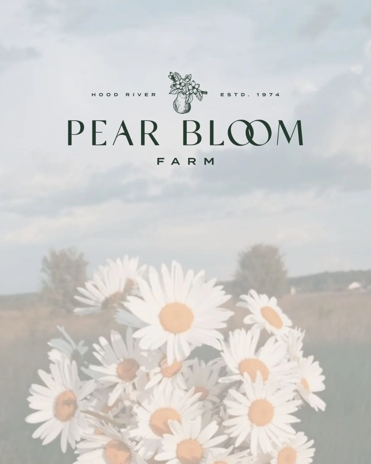 PEAR BLOOM FARM