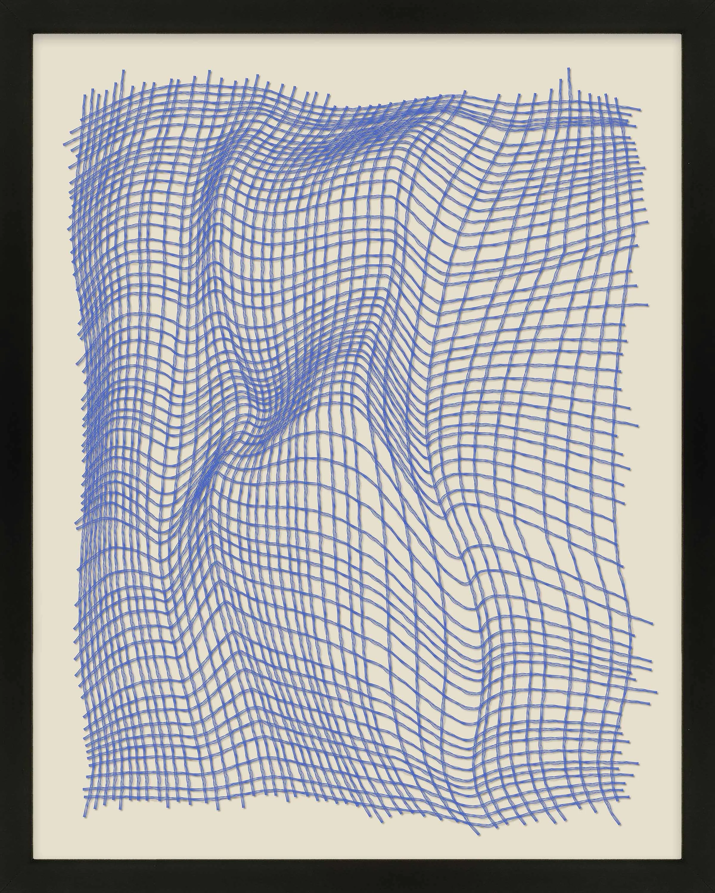 Netting 1