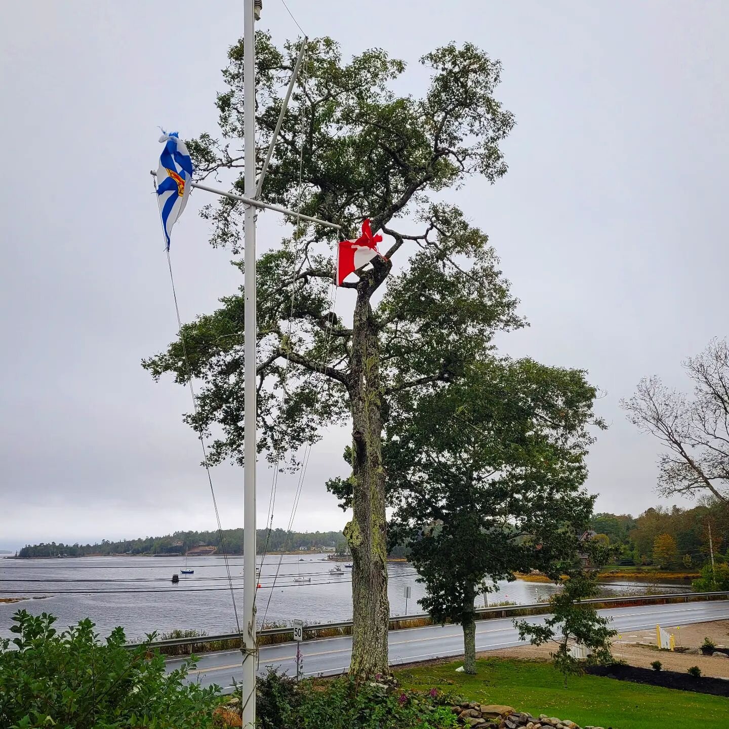 We were lucky, our beautiful old Oak trees survived Hurricane Fiona. Our thoughts go out to all our friends and family in Cape Breton, PEI and NFLD to whom the hurricane caused devastation. 

#hurricanefiona #novascotia