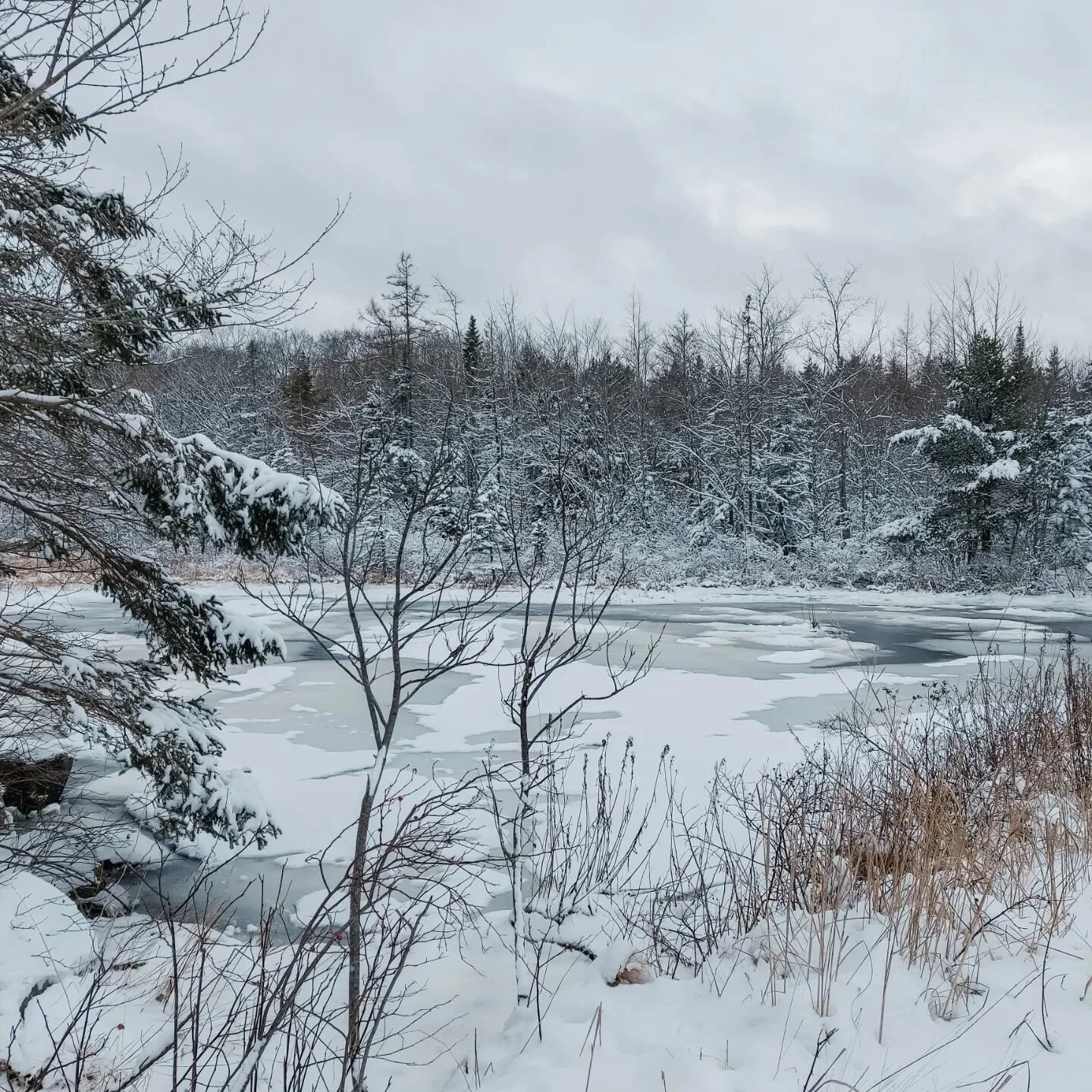 Spring, Summer or Snow-covered the Oaks never disappoints as beautiful spot for trail hiking! 

#theoaks #theoaksseasideretreat #novascotiavacationrental #snow #novascotia