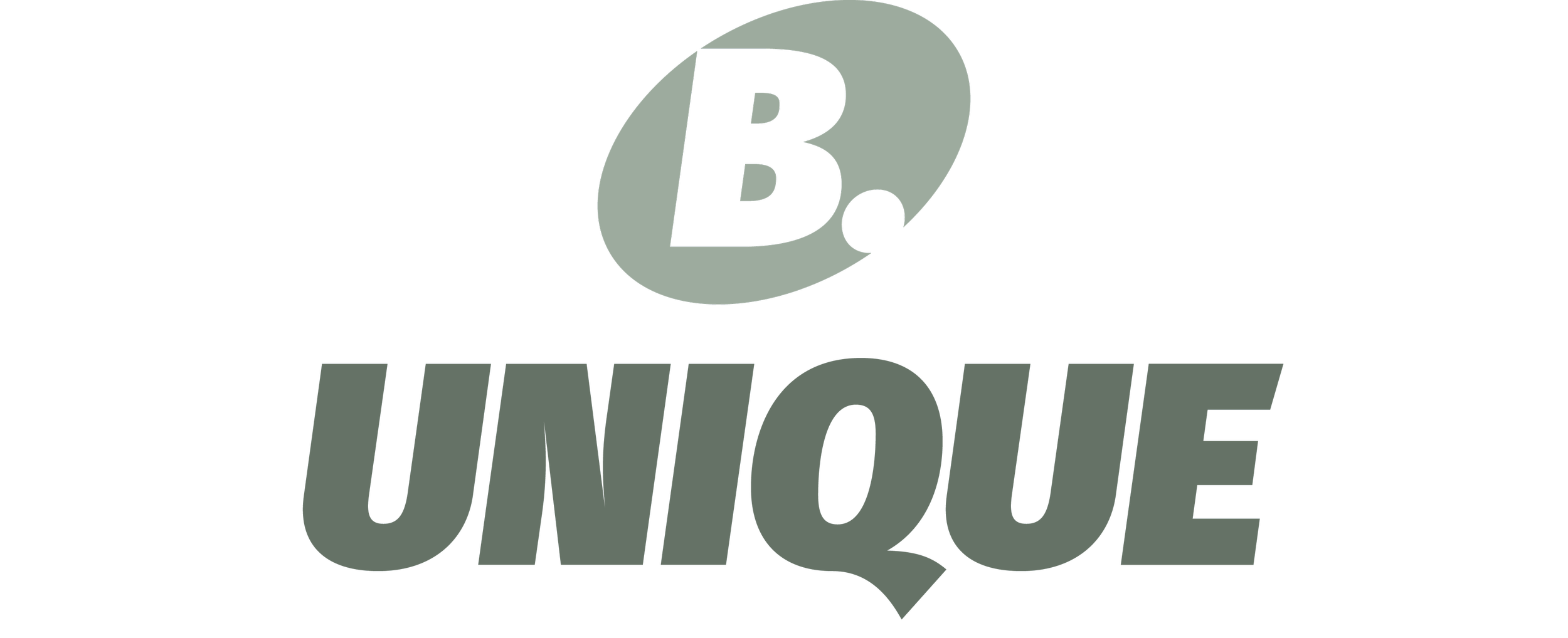 B. UNIQUE.png