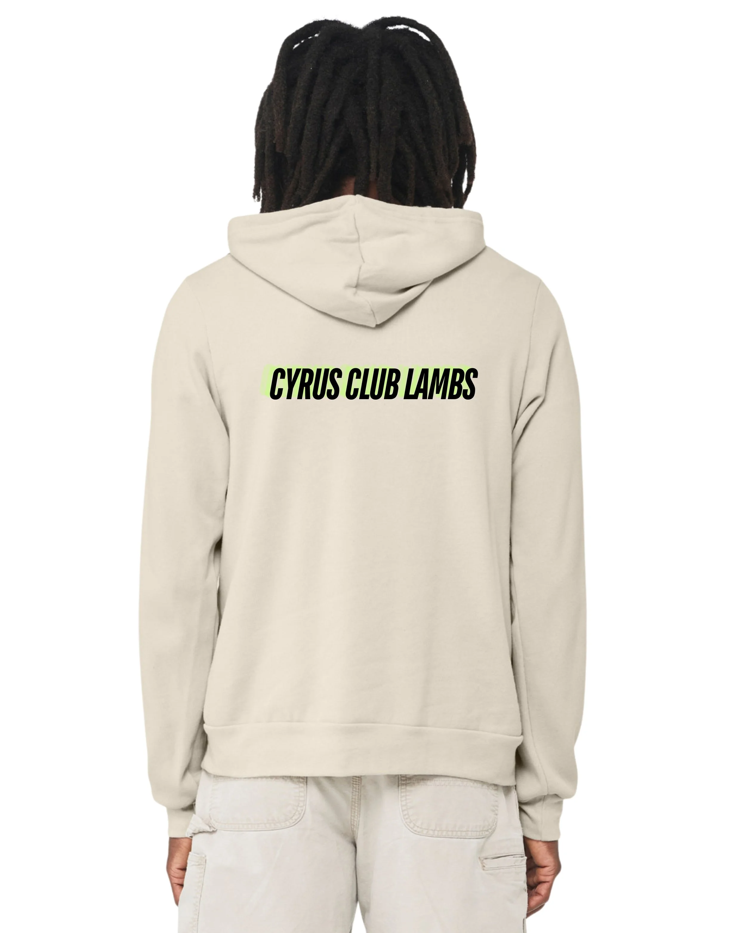 Hard Work Hoodie Back - Dust.jpg