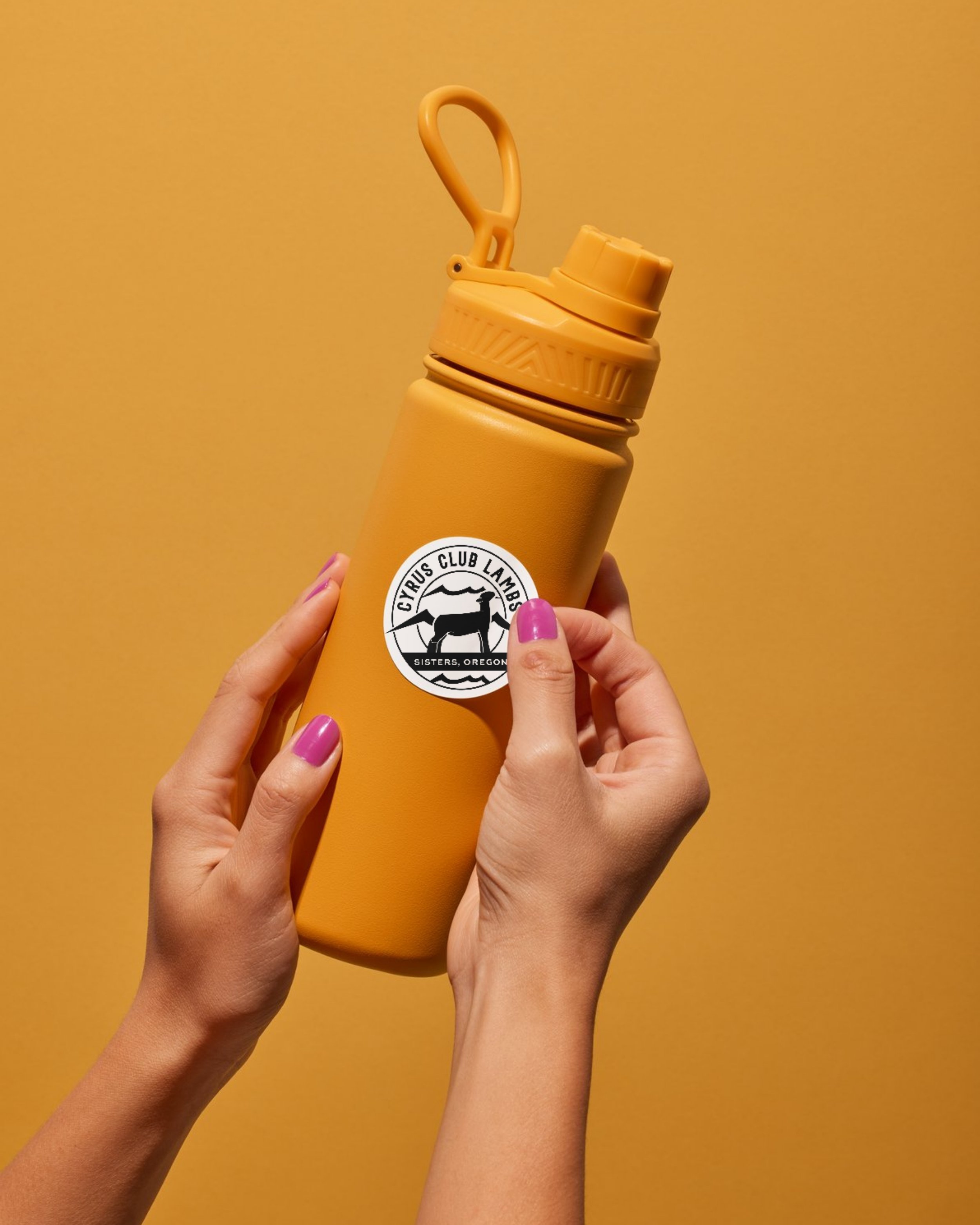 CCL Classic Sticker.jpg