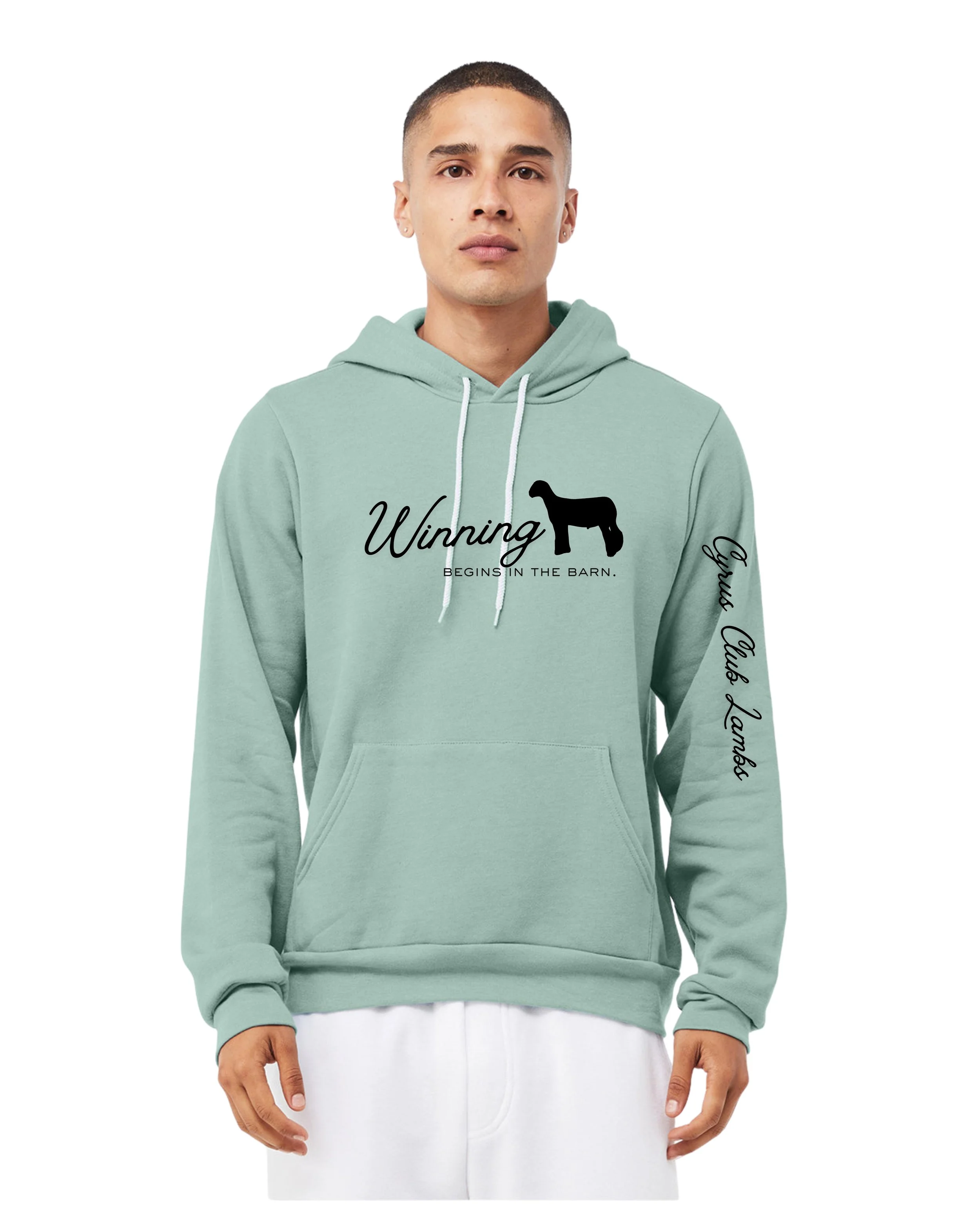 Winning Begins In The Barn Hoodie Dusty Blue.jpg