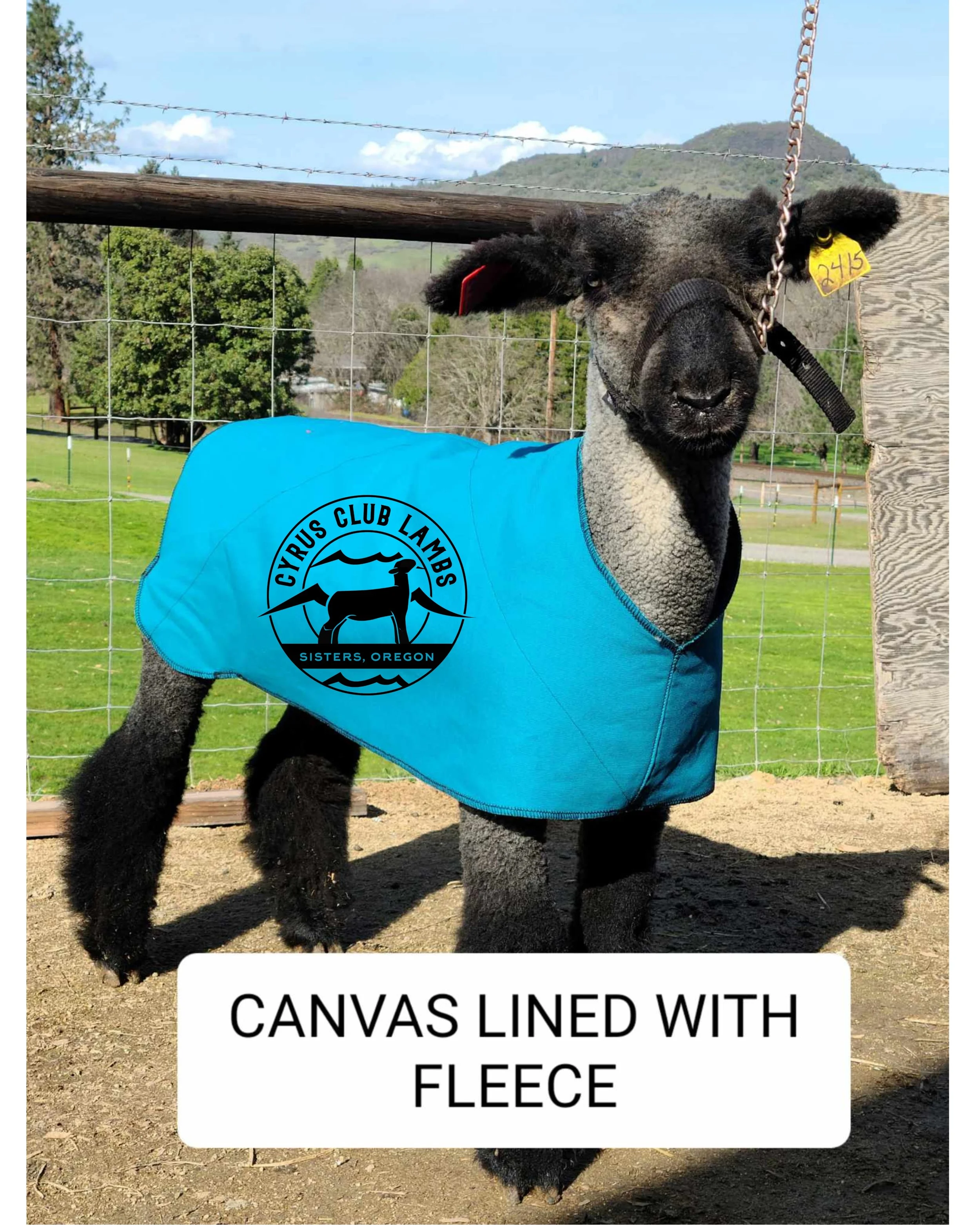 CCL Classic - Fleece Lined Canvas.jpg