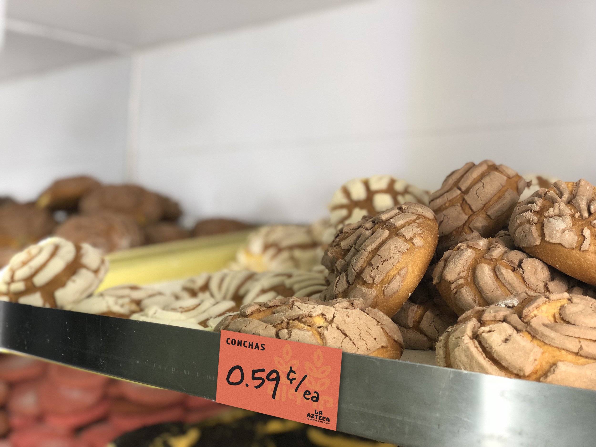 Conchas.jpg