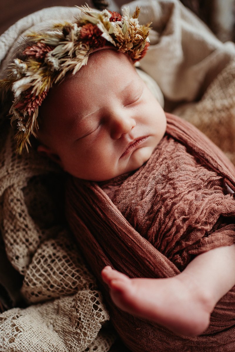 delilah newborn session kansas city — Denise Jambor Photography