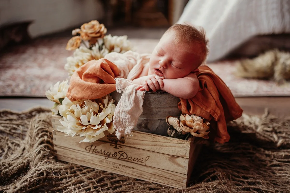 delilah newborn session kansas city — Denise Jambor Photography