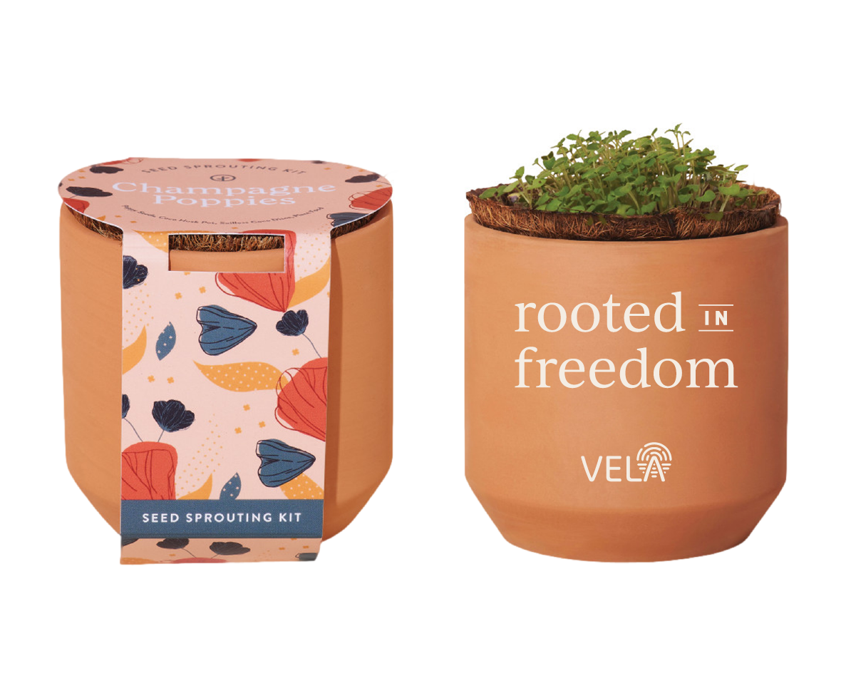 GrandEffect_Vela Education Fund-Refresh6.png