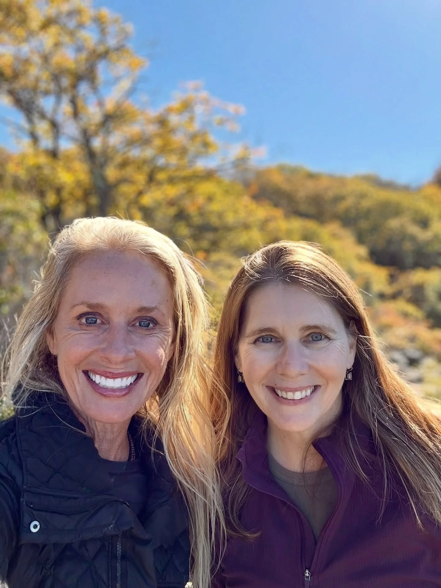 Weekend in DC with Amy, continuing our year-of-50 celebrations. Shenandoah views, fall colors, lots of walks and talks — such a lovely weekend. ❤️
#shenandoah #nature #thisis50 #friendship
