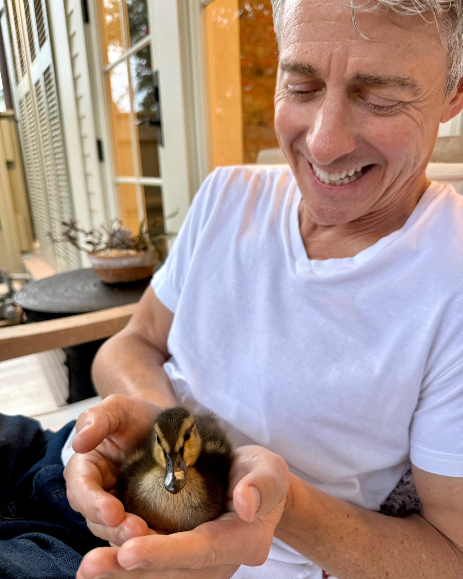 Some fluff + feathers to brighten up your feed 🦆