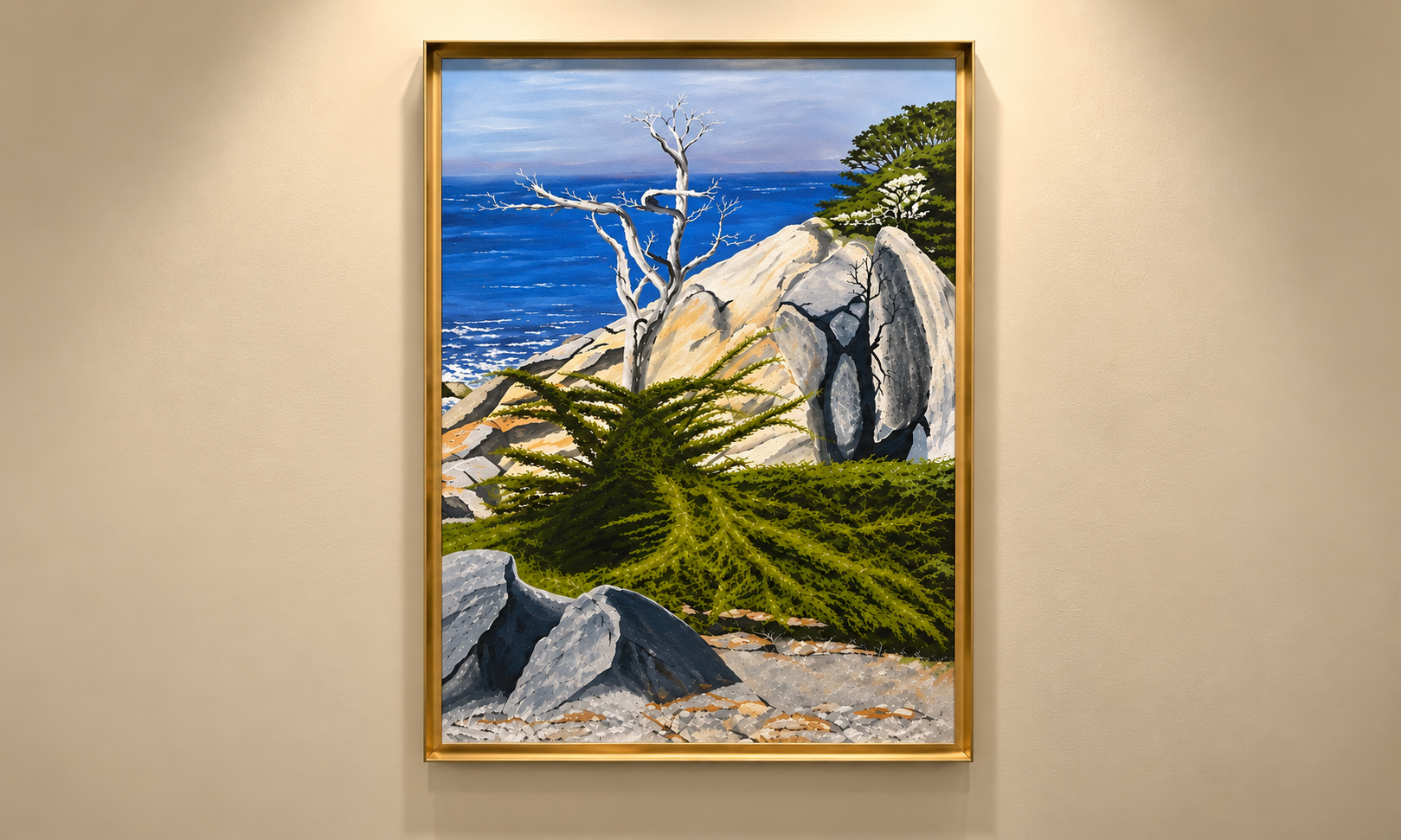 Ghost Cypress Tree Monterey 17 Mile Drive