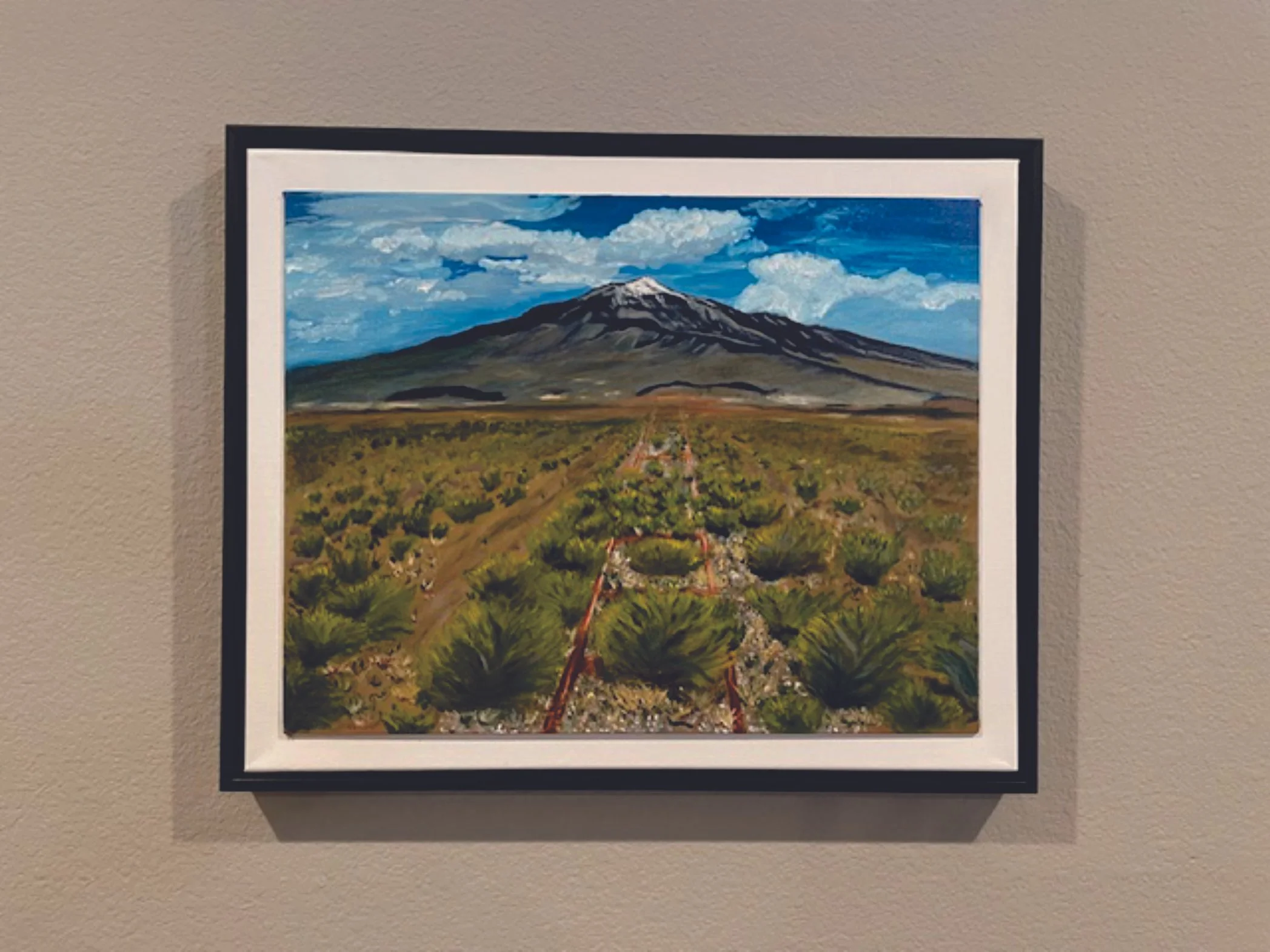 Abandoned Railroad and Montain Framed.jpg