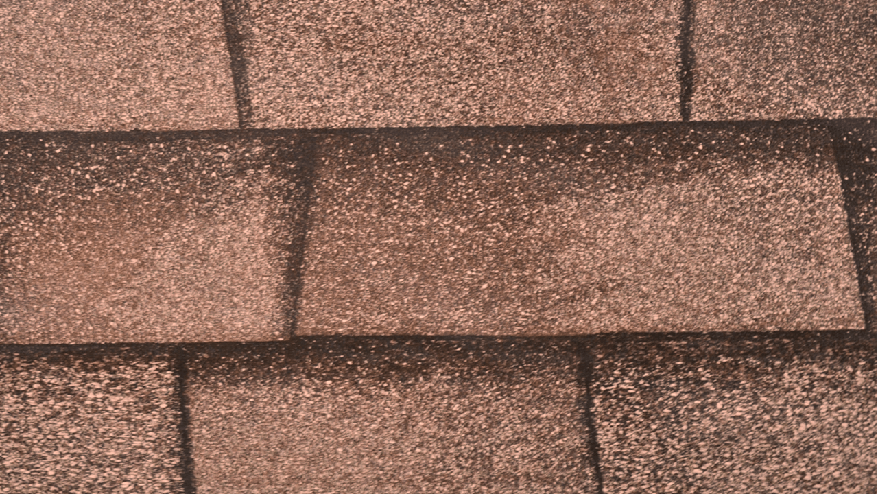 shingle-print-membrane-4.png
