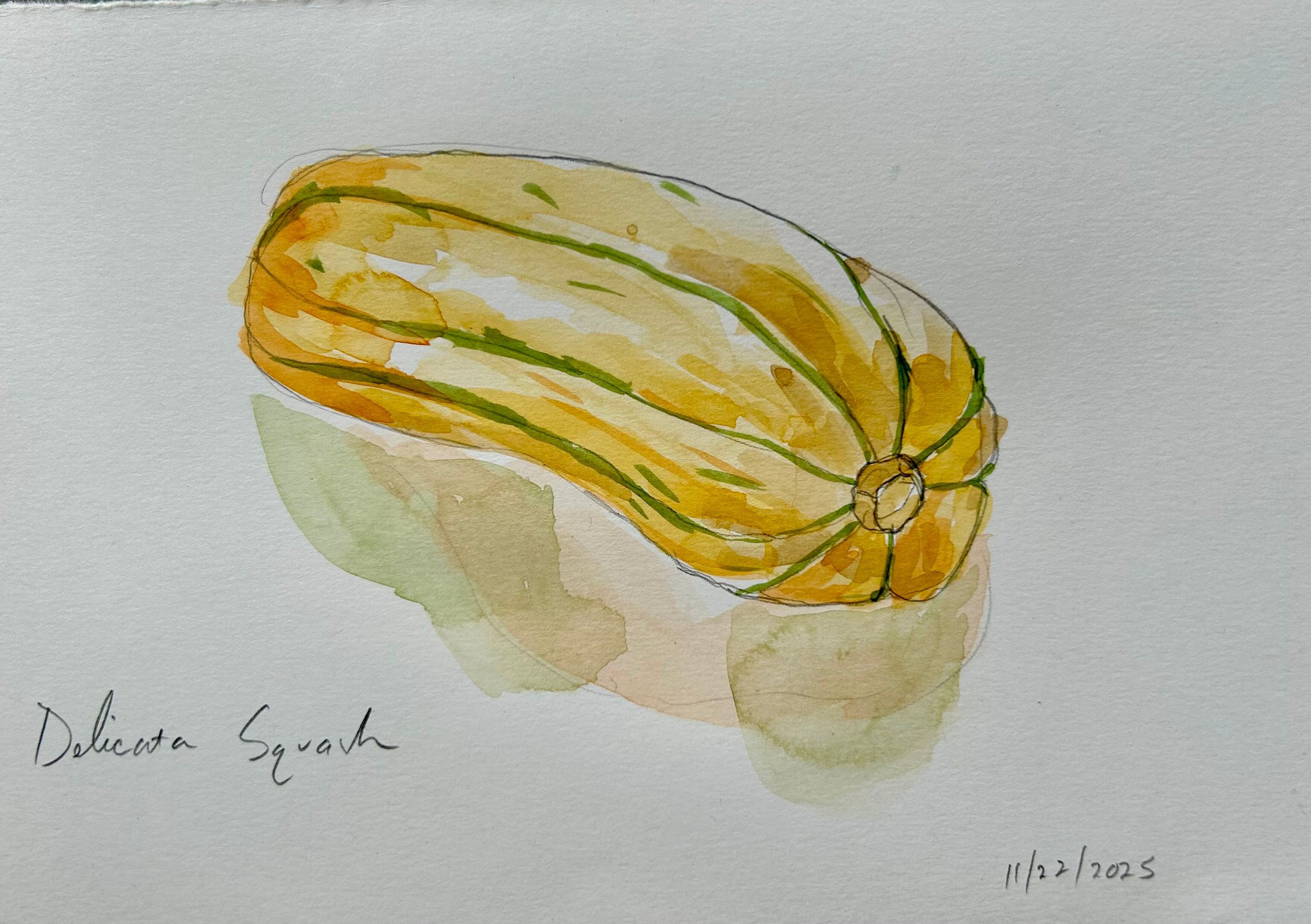 Delicata Squash