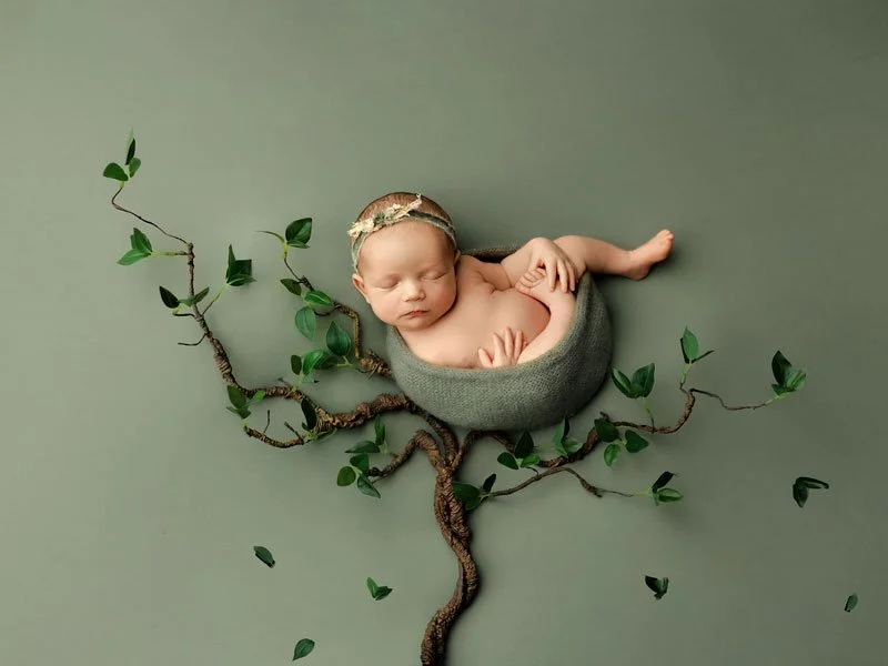 A professional fine art newborn portrait by SunnyMelon Photography featuring a sleeping baby girl in a whimsical nature-themed pose. The infant is curled comfortably in a soft sage green fabric wrap that serves as the "nest" of a stylized tree prop w