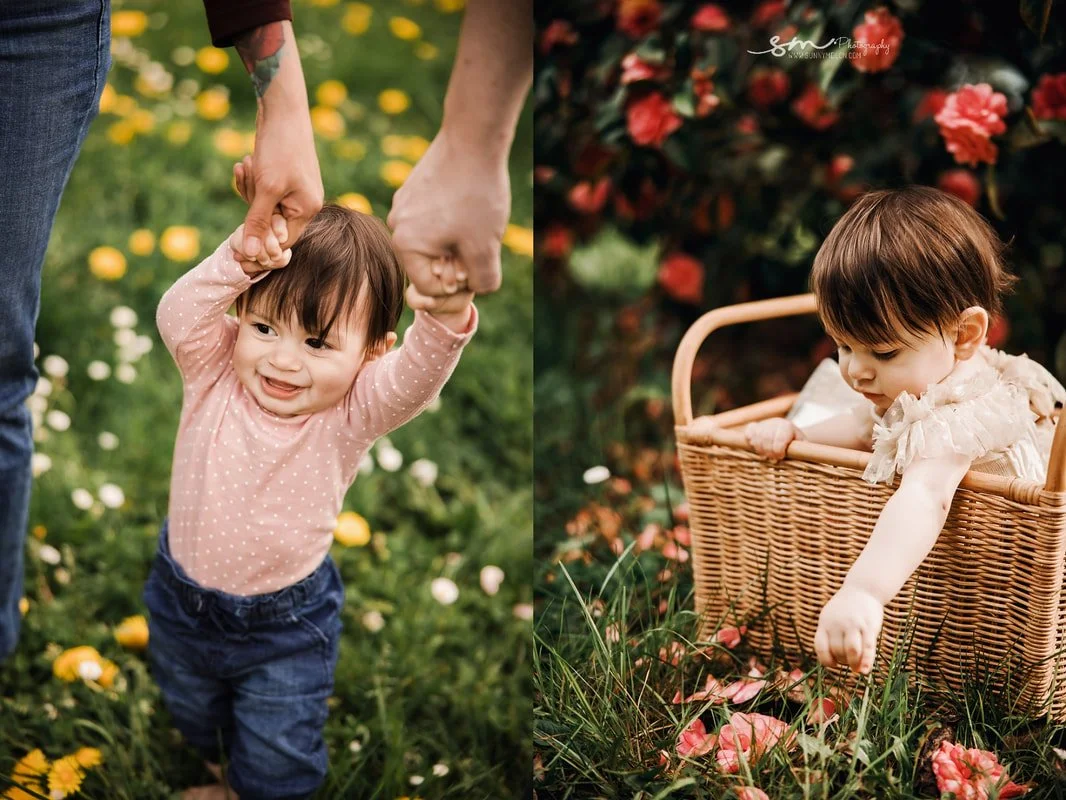 Outdoor milestone collage of a baby girl in a vintage wicker basket looking at and sitting by blooming pink camellia bushes in Tualatin, Oregon.