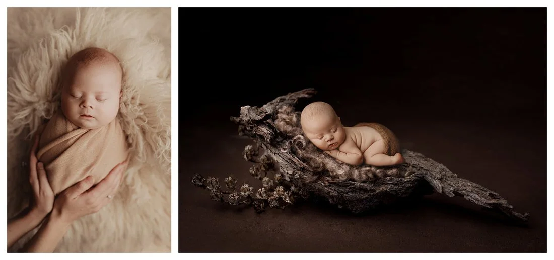 Fine Art Newborn Portraiture and Creative Prop Styling