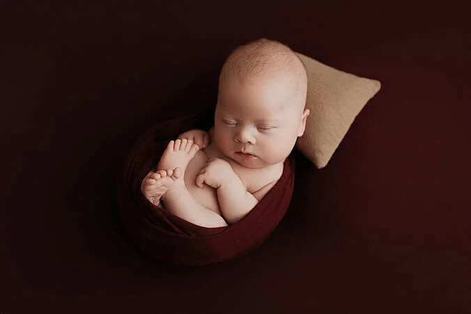 Moody Fine Art Newborn Portrait in Burgundy and Brown