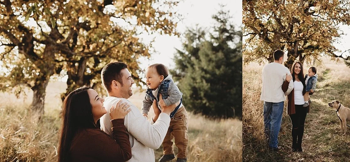 A collage of a family outdoors; left side shows parents laughing as the father holds up their smiling toddler, and right side shows the family walking through a field with their dog at golden hour.