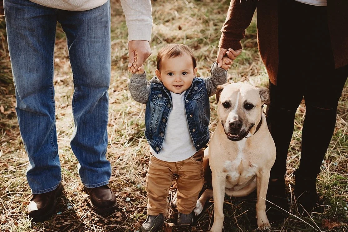 Fall in Love with Portland: Capturing Autumn Magic in the Pacific Northwest