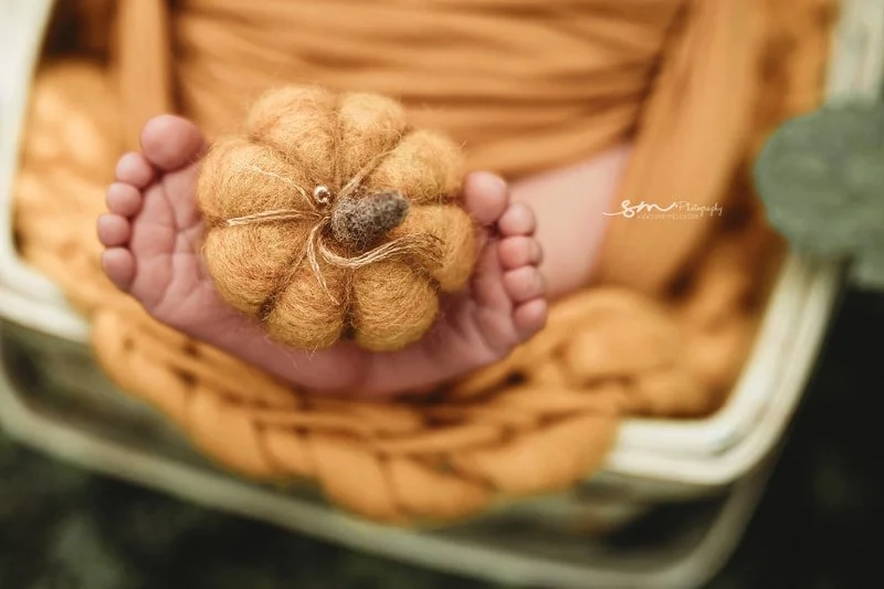 A close-up macro shot of a newborn baby's tiny feet holding a small, handcrafted fiber pumpkin prop in a mustard yellow studio setting.