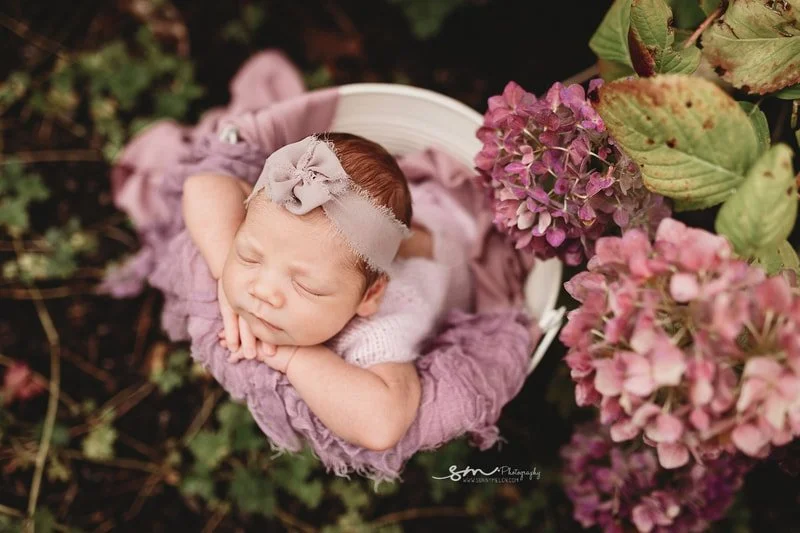 A top-down view of a sleeping newborn baby girl in a "chin-on-hands" pose, resting on lavender blankets inside a white bucket next to blooming pink and purple hydrangeas.