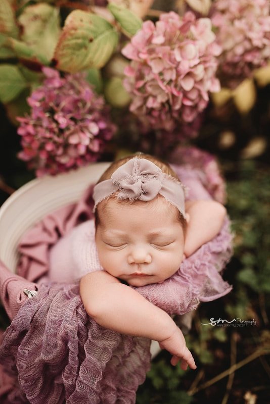 A close-up of a sleeping newborn baby girl resting her head on her arms, tucked into a lavender fabric wrap inside a white bucket, surrounded by blooming pink hydrangeas.