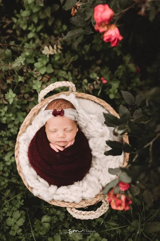 A top-down view of a sleeping newborn baby girl wrapped in a deep burgundy swaddle, resting in a woven basket with a white chunky knit blanket, surrounded by green leaves and pink roses.