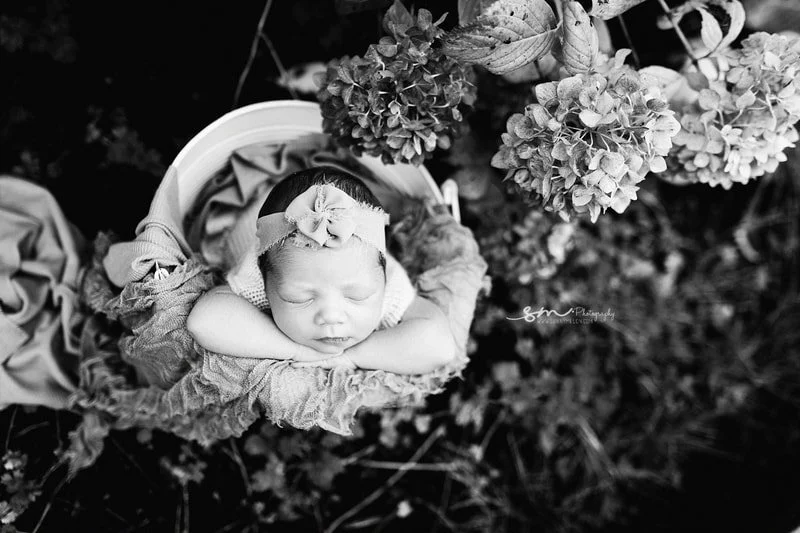 A black and white top-down view of a sleeping newborn baby girl in a "chin-on-hands" pose, resting in a bucket layered with textured blankets next to large hydrangea blooms.