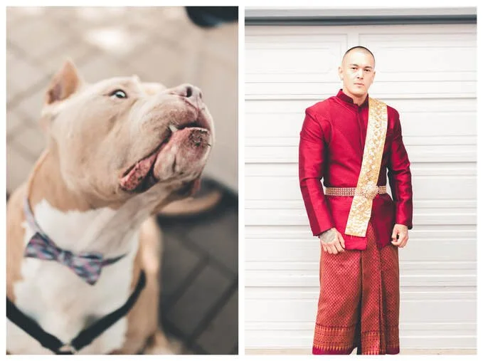 A two-image collage; the left side shows a tan and white dog wearing a colorful bow tie, and the right side shows a groom in a traditional maroon and gold Cambodian silk wedding outfit standing against a white backdrop.
