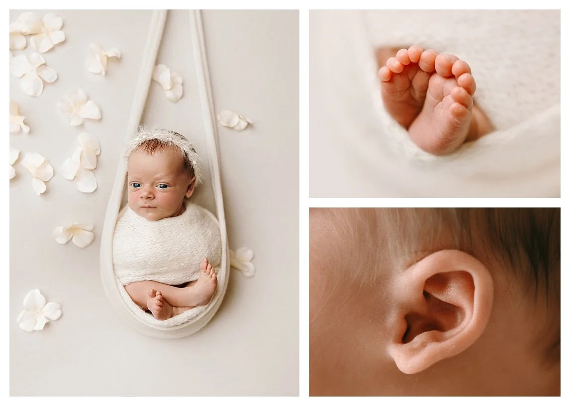 A three-image studio newborn collage against a cream backdrop; the left shows a swaddled baby in a hanging fabric sling with flower petals, the top right focuses on tiny toes, and the bottom right shows a macro view of an ear.