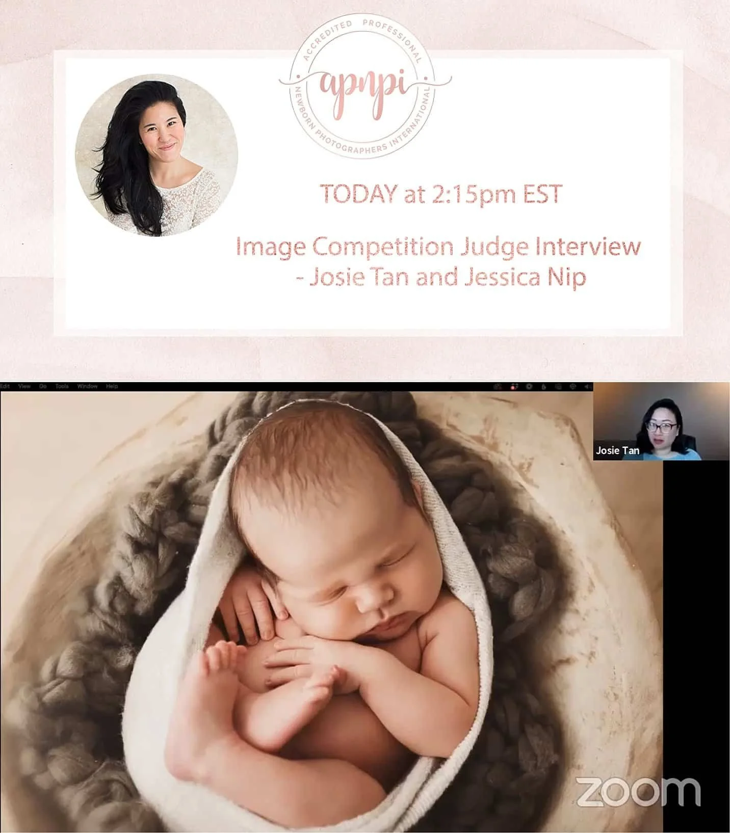 A promotional graphic for an APNPI image competition judge interview featuring Josie Tan, alongside a high-quality portrait of a sleeping newborn baby in a neutral wrap and bowl.