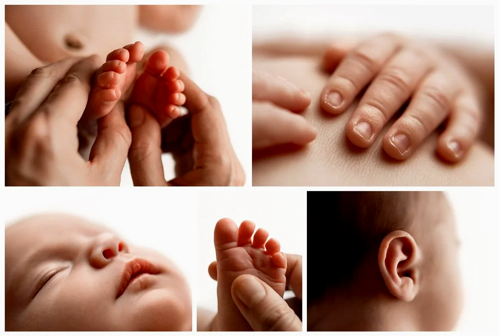 A collage of five close-up newborn photography images featuring a baby's tiny toes being held, soft fingernails, a sleeping profile of lips and nose, a small ear, and a foot held by a parent's hand against a clean white background.