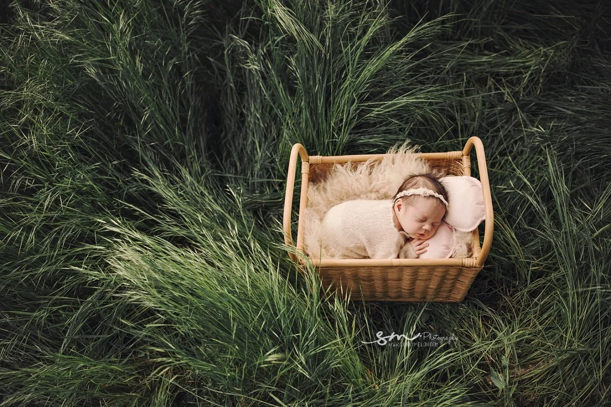 An overhead shot of a sleeping baby girl tucked into a woven wicker basket lined with a faux fur blanket, placed in a field of tall green grass.