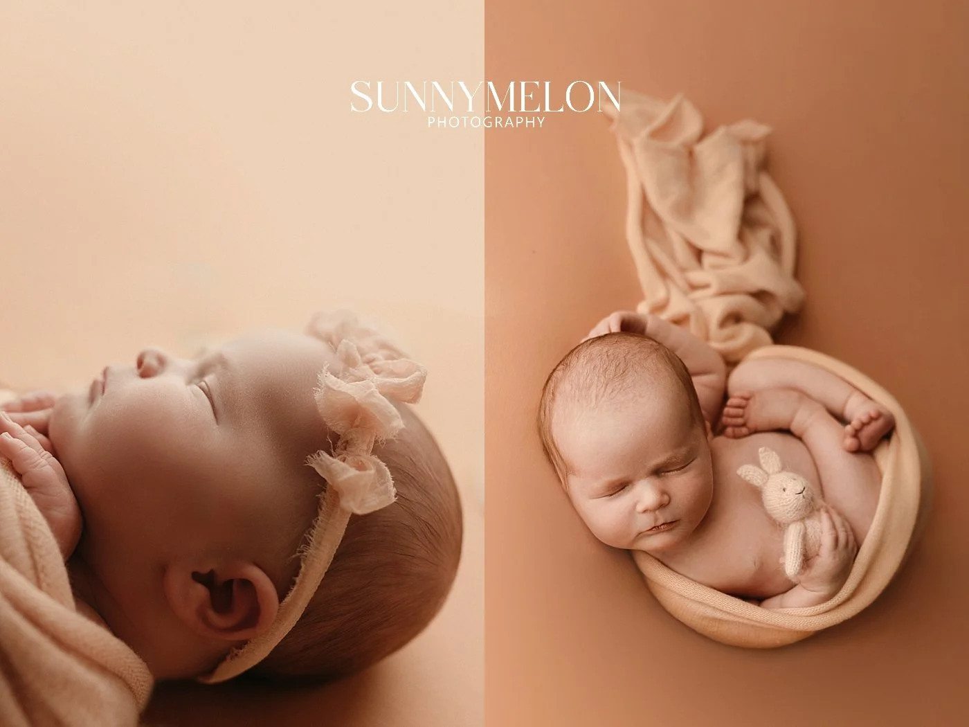 fine art collage of a baby collage curled up in oregon studio