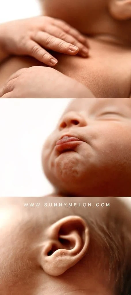 Newborn Details &amp; Macro Portraits West Linn | Sunny Melon Photography