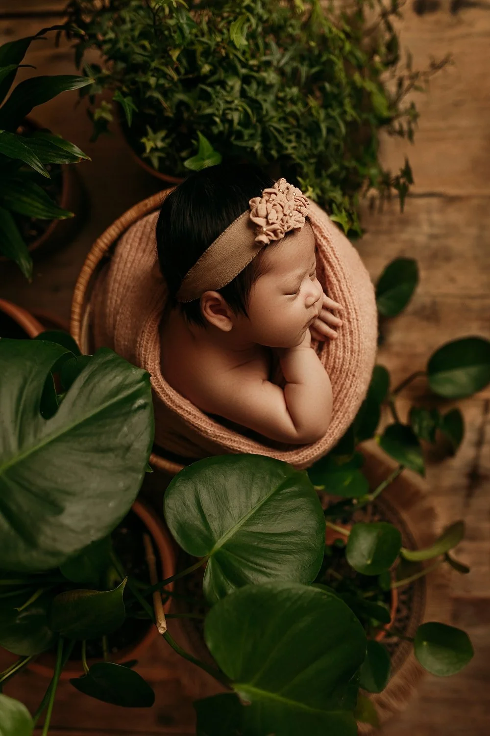 An overhead fine-art studio portrait of a sleeping newborn baby girl in a pink wrap nestled inside a basket in West Linn, Oregon. The baby wears a floral headband and is framed by lush, potted green houseplants on a rustic wooden floor.