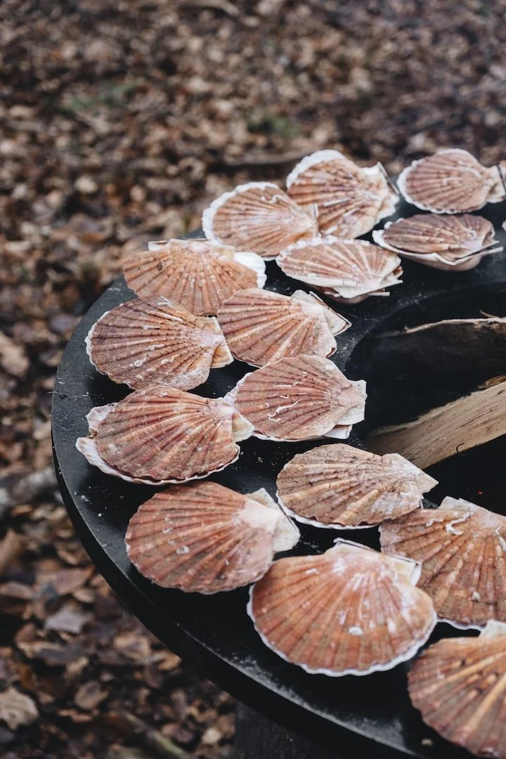 Les Dîners Perchés - Forêt d'Hiver 5 - c Charlotte Bron.jpg