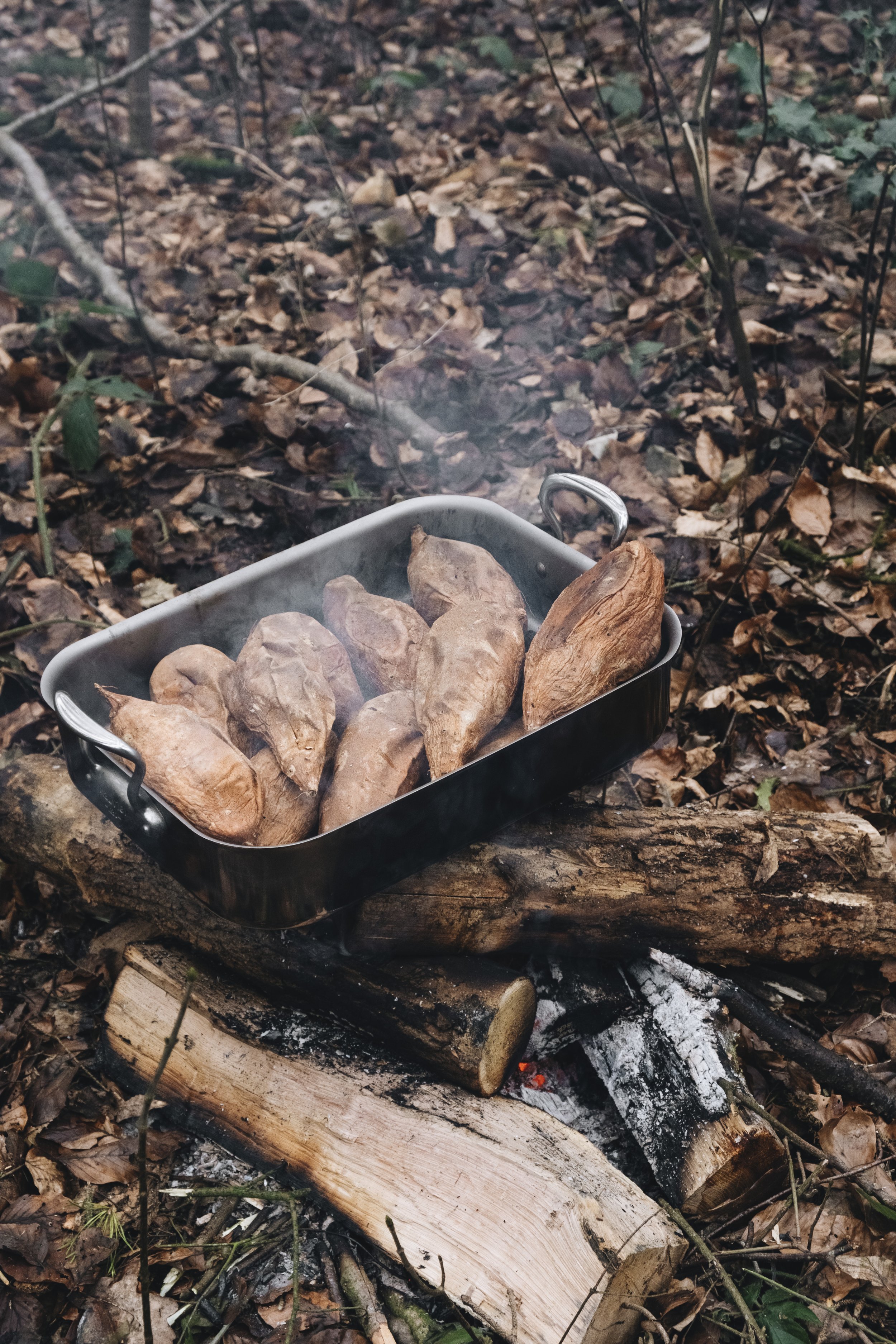 Diners Perchés - Bivouac en forêt_16.jpg