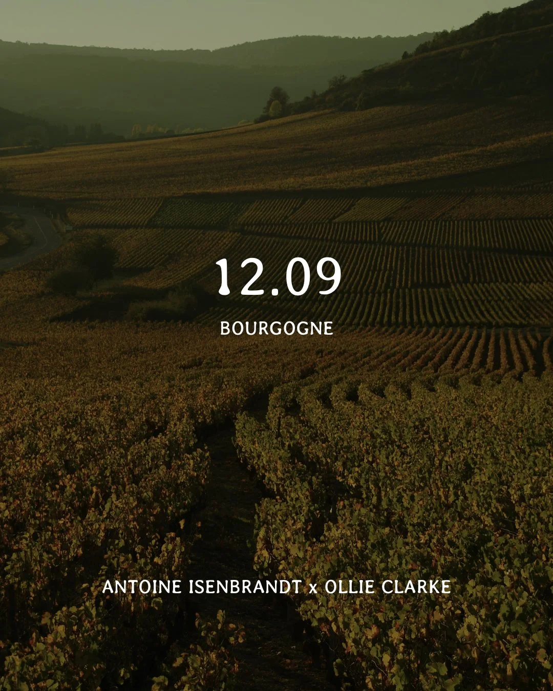 Les diners perchés x bourgogne.jpeg