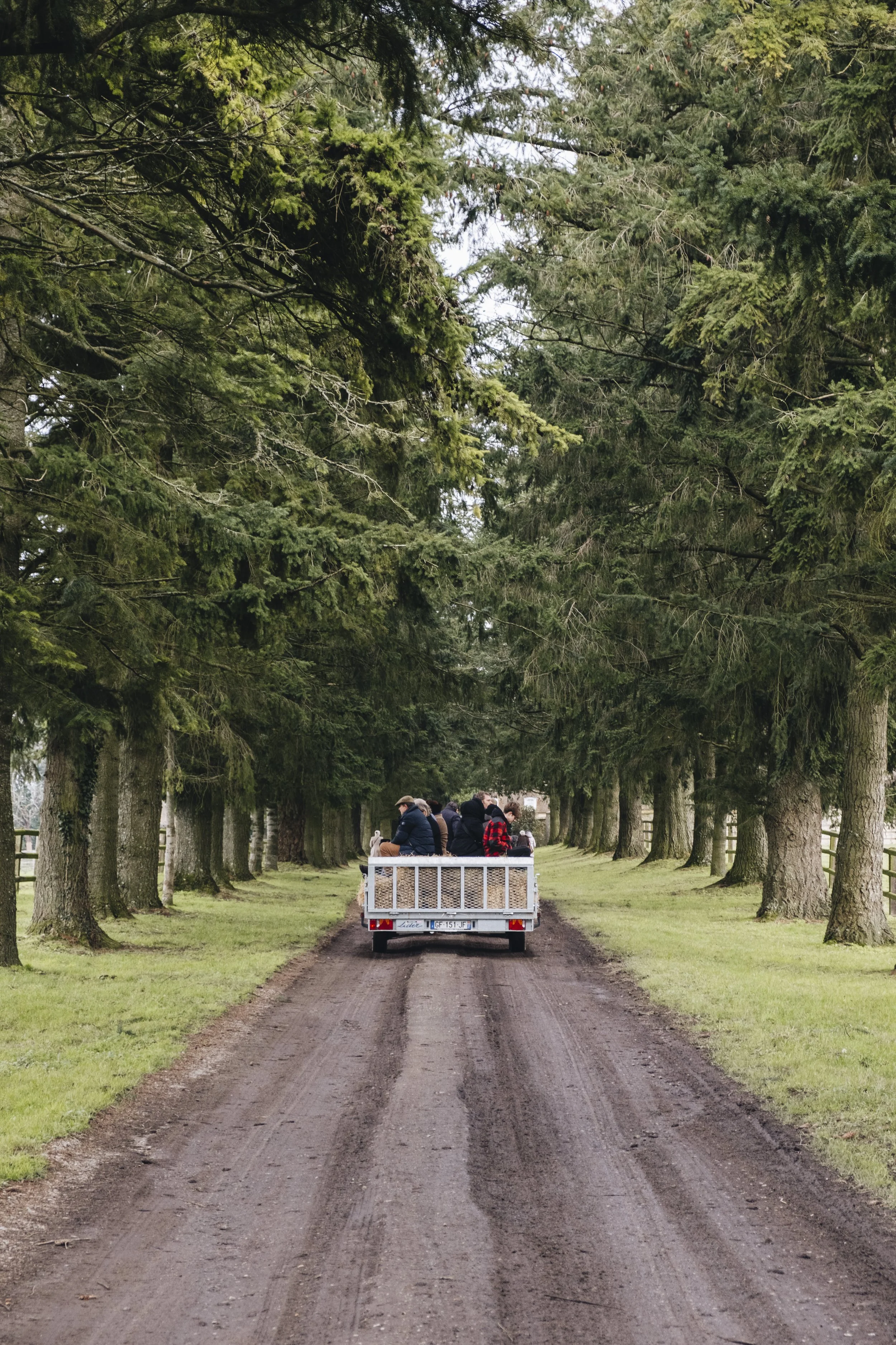 Diners Perchés - Bivouac en forêt_74.jpg