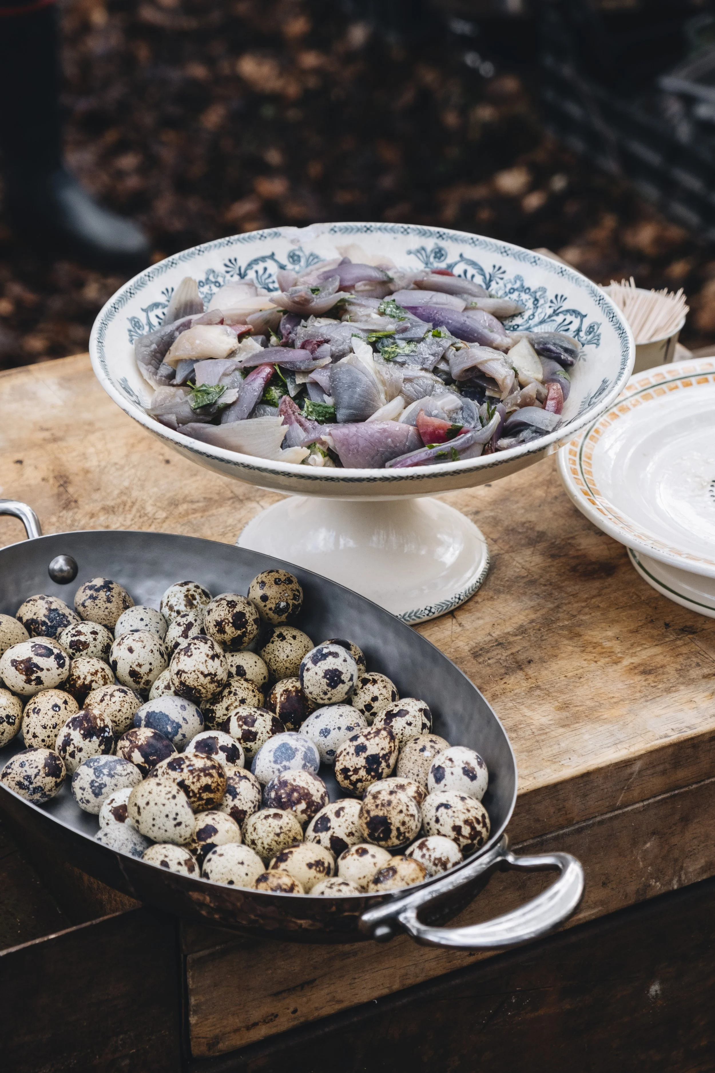 Diners Perchés - Bivouac en forêt_86.jpg