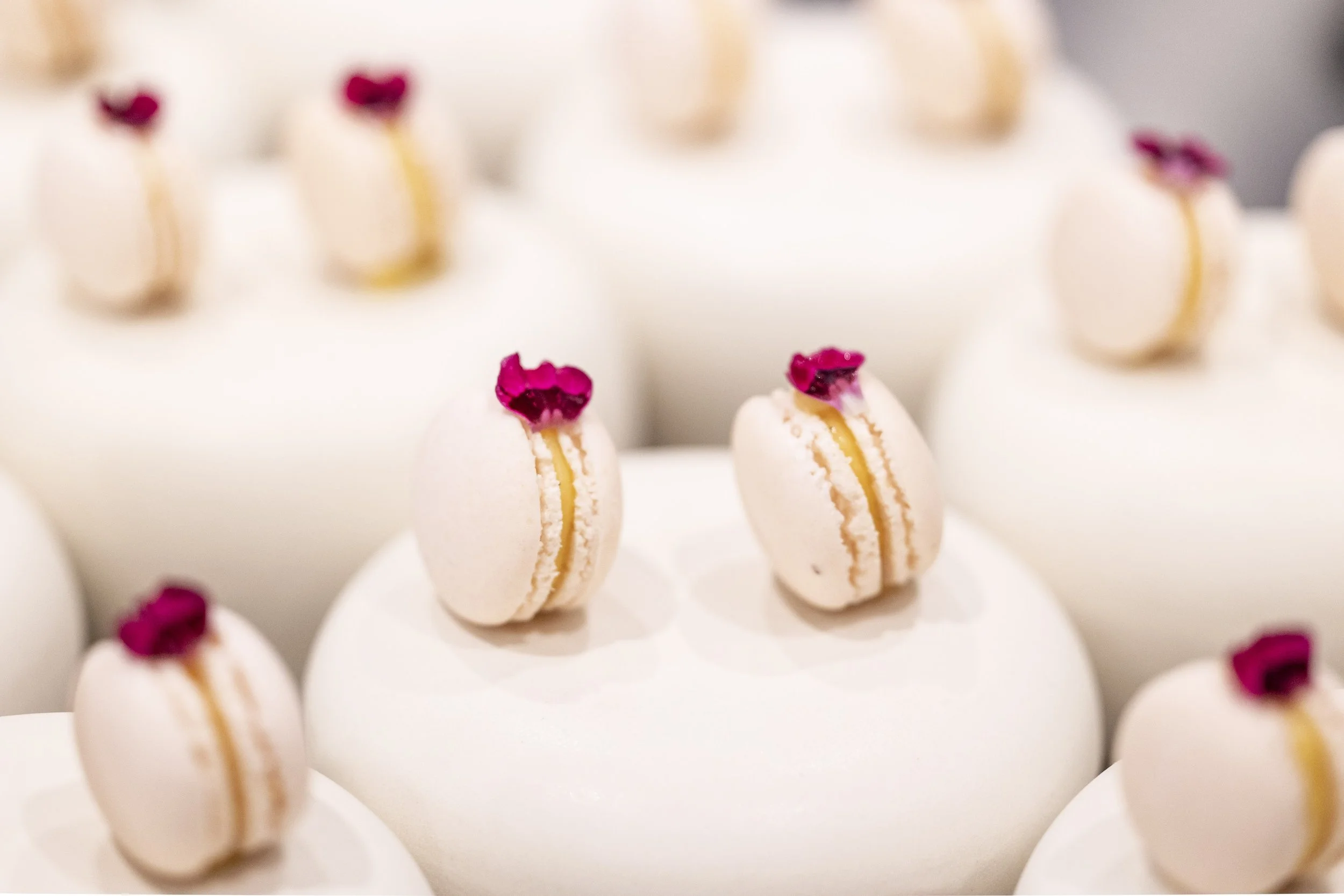 Buyout 1-September-47.jpg