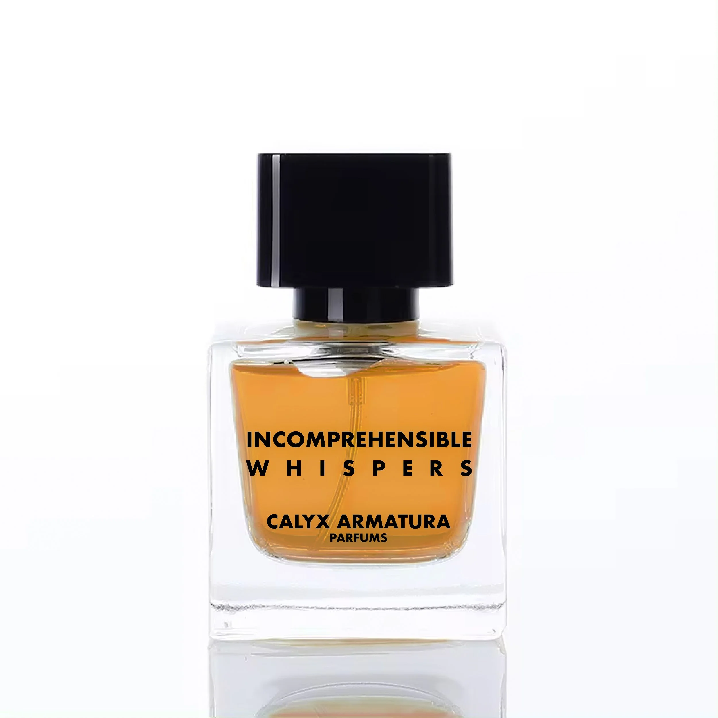 Incomprehensible Whispers